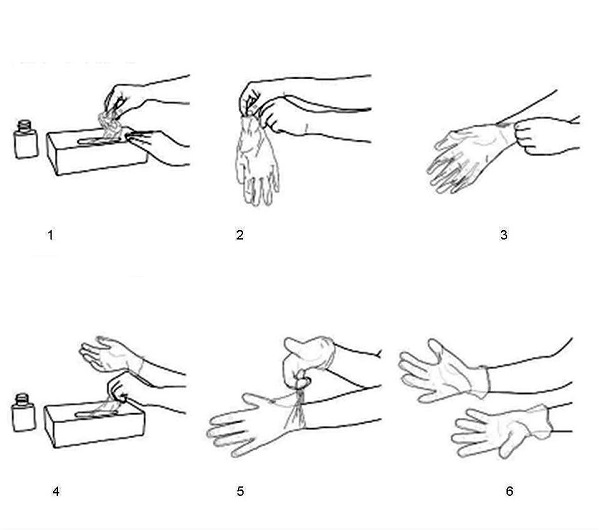 Як одягати та знімати медичні рукавички: алгоритми-інфографіка