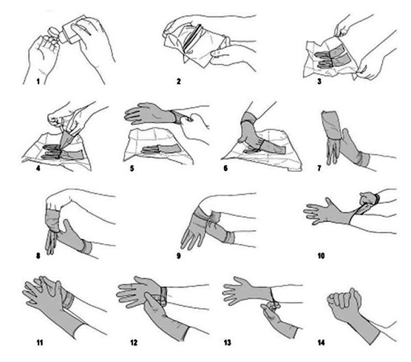 Как надевать и снимать медицинские перчатки: алгоритмы