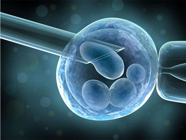 В Україні з’явиться закон, що регулюватиме допоміжні репродуктивні технології