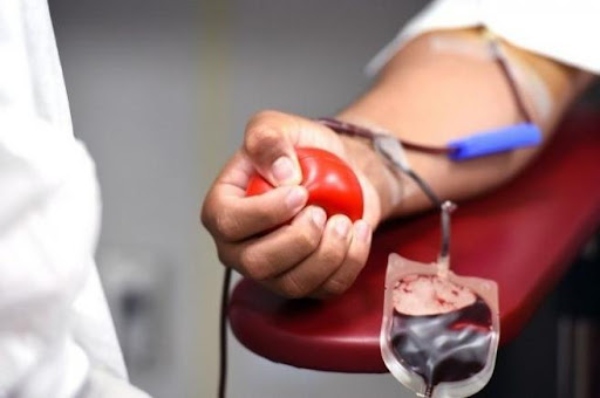 Як працюватиме реєстр донорів крові та її компонентів