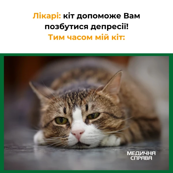 Медичні меми