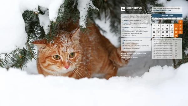 Заставка на робочий стіл лютий