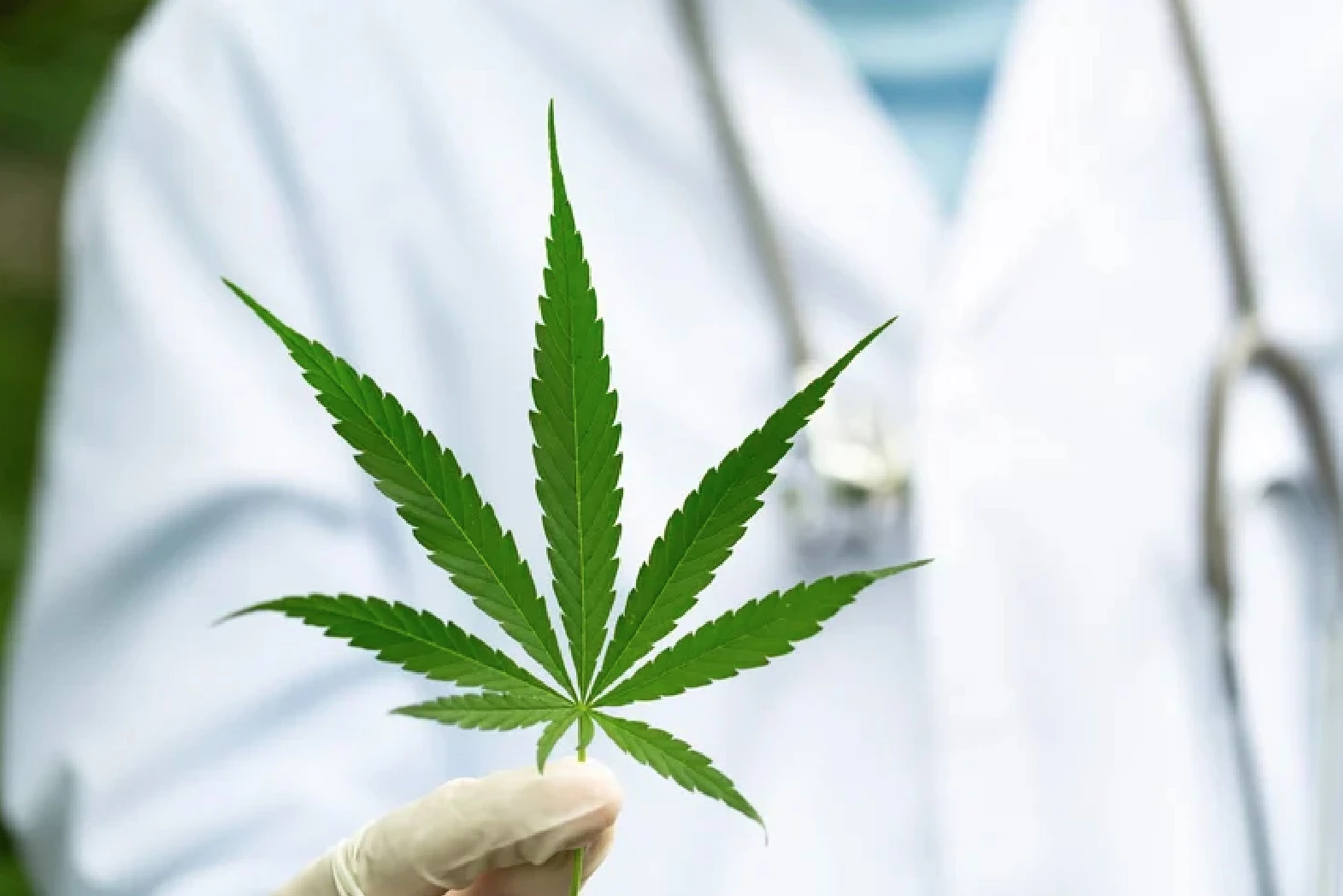 медичний канабіс