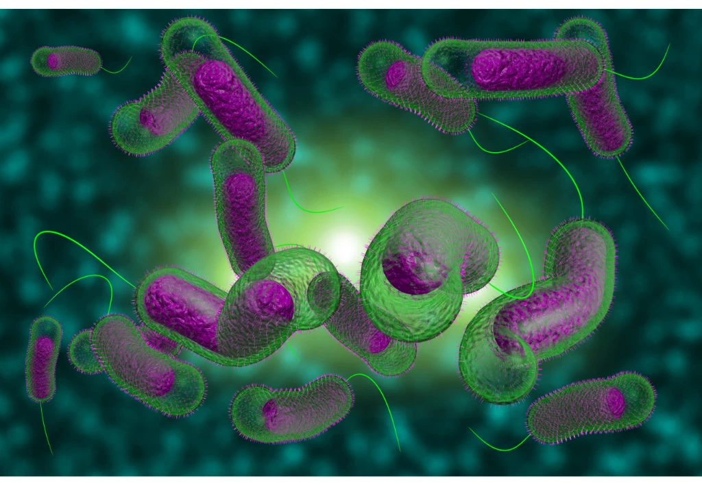 ЦКПХ оновлюють плани реагування на потенційні випадки холери в регіонах