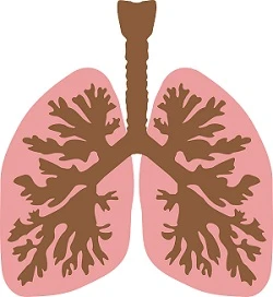 Що зміниться в лікуванні туберкульозу наступного року Що зміниться в лікуванні туберкульозу наступного року